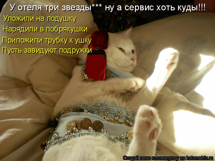Котоматрица: У отеля три звезды*** ну а сервис хоть куды!!! Приложили трубку к ушку Нарядили в побрякушки Уложили на подушку Пусть завидуют подружки