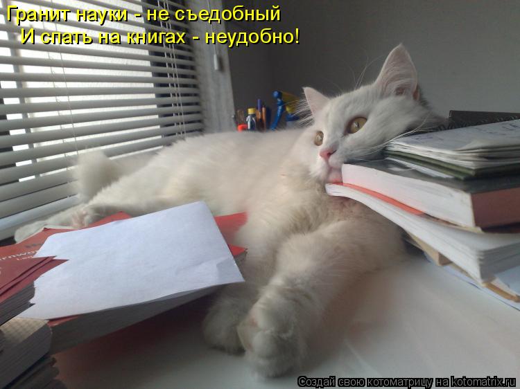 Котоматрица: Гранит науки - не съедобный  И спать на книгах - неудобно!