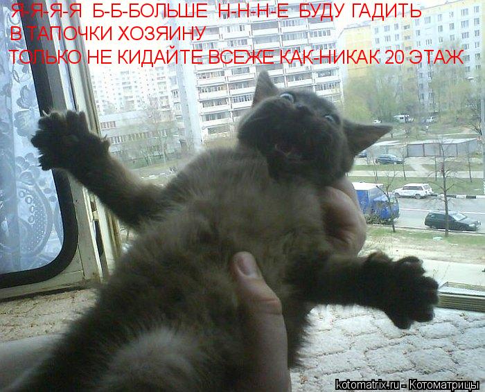 Котоматрица: Я-Я-Я-Я  Б-Б-БОЛЬШЕ  Н-Н-Н-Е  БУДУ ГАДИТЬ В ТАПОЧКИ ХОЗЯИНУ ТОЛЬКО НЕ КИДАЙТЕ ВСЕЖЕ КАК-НИКАК 20 ЭТАЖ