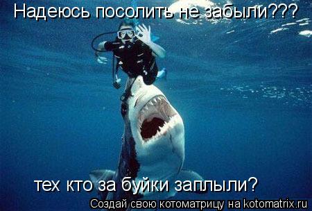 Котоматрица: Надеюсь посолить не забыли??? тех кто за буйки заплыли?
