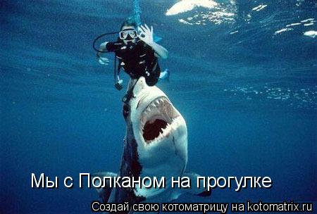 Котоматрица: Мы с Полканом на прогулке