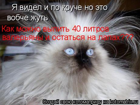 Я видел и по круче но это вобче жуть Как можно выпить 40 литров валерьяны и остаться на лапах???... Котоматрица: Я видел и по круче но это вобче жуть Как можно выпить 40 литров валерьяны и остаться на лапах???