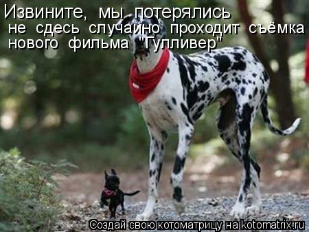 Котоматрица: Извините,  мы  потерялись не  сдесь  случайно  проходит  съёмка нового  фильма  "Гулливер"