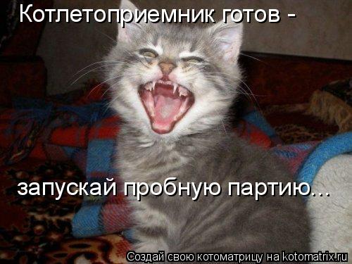 Котоматрица: Котлетоприемник готов -  запускай пробную партию...