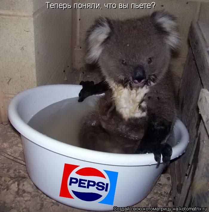 Котоматрица: Теперь поняли, что вы пьете?