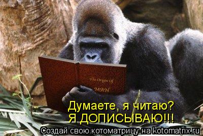 Котоматрица: Думаете, я читаю? Я ДОПИСЫВАЮ!!!