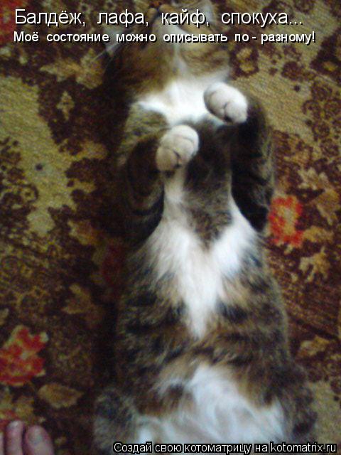 Котоматрица: Балдёж,  лафа,  кайф,  спокуха... Моё  состояние  можно  описывать  по - разному!