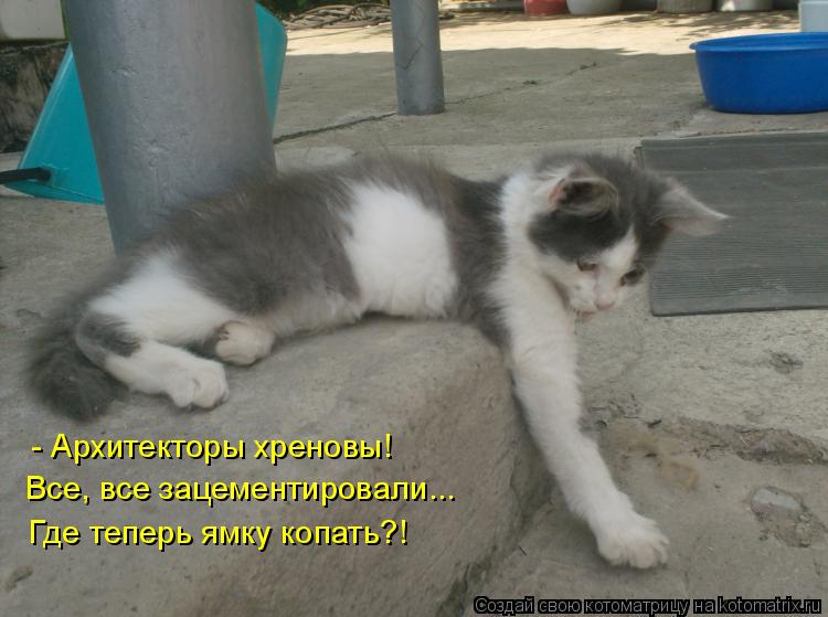 Котоматрица: - Архитекторы хреновы!  Все, все зацементировали... Где теперь ямку копать?!