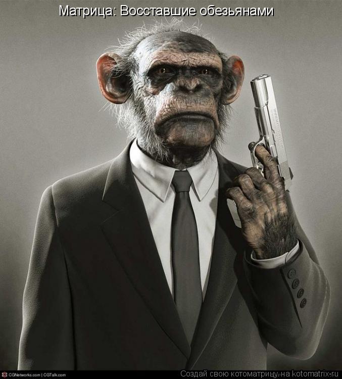 Котоматрица: Матрица: Восставшие обезьянами