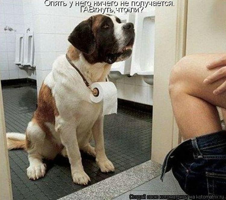 Котоматрица: Опять у него ничего не получается. ГАВкнуть,что ли?