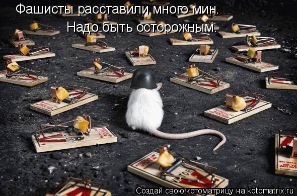 Котоматрица: Фашисты расставили много мин. Надо быть осторожным.