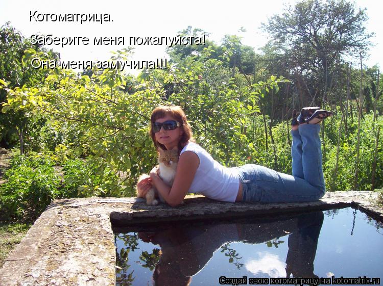 Котоматрица: Котоматрица. Заберите меня пожалуйста! Она меня замучила!!!