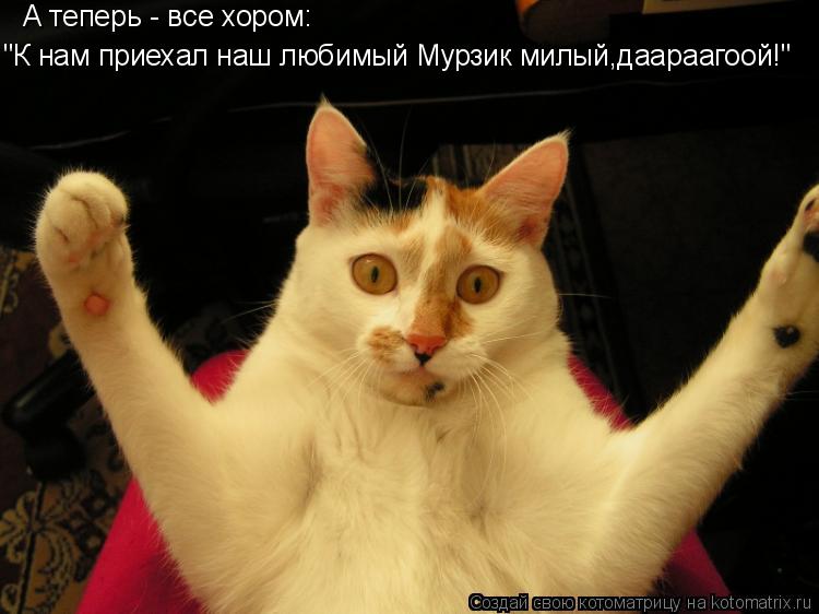 Котоматрица: А теперь - все хором: "К нам приехал наш любимый Мурзик милый,даараагоой!"