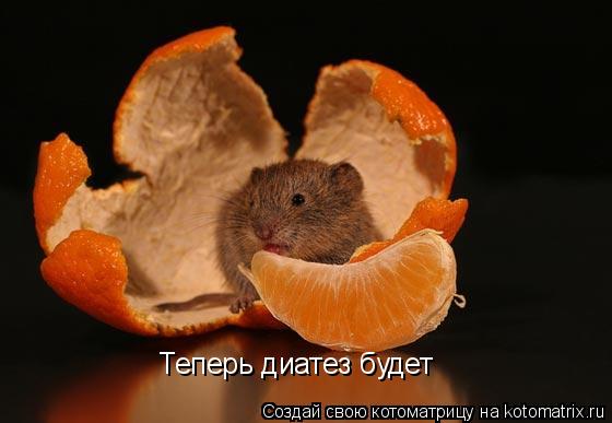 Котоматрица: Теперь диатез будет