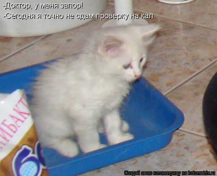Котоматрица: -Доктор, у меня запор! -Сегодня я точно не сдам проверку на кал.