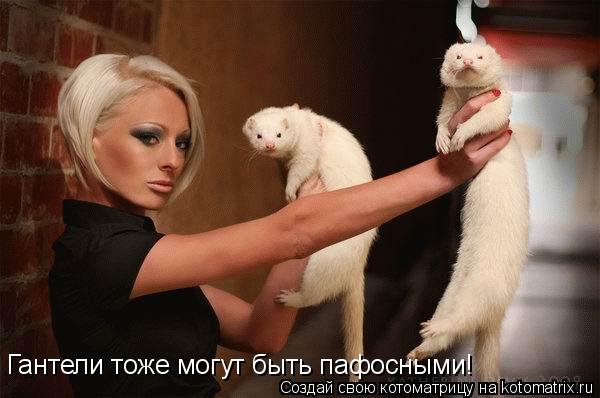 Котоматрица: Гантели тоже могут быть пафосными!