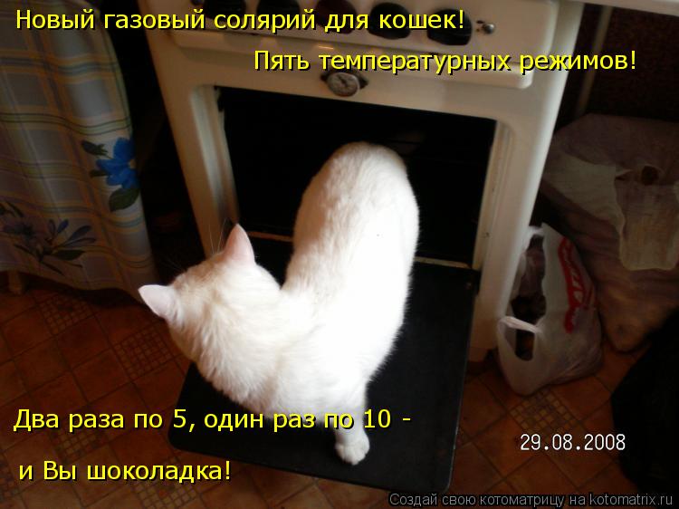Котоматрица: Новый газовый солярий для кошек! Пять температурных режимов! Два раза по 5, один раз по 10 -  и Вы шоколадка!
