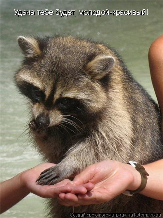 Котоматрица: Удача тебе будет, молодой-красивый!