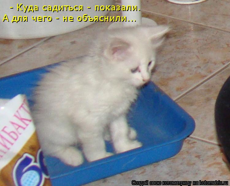 Котоматрица: - Куда садиться - показали. А для чего - не объяснили...