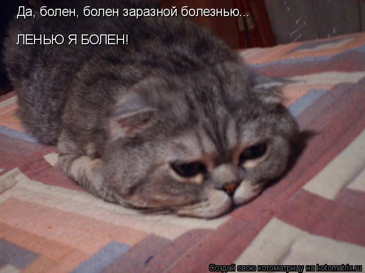 Котоматрица: Да, болен, болен заразной болезнью... ЛЕНЬЮ Я БОЛЕН!