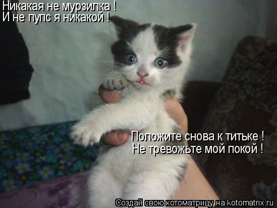Котоматрица: Никакая не мурзилка ! И не пупс я никакой ! Не тревожьте мой покой ! Положите снова к титьке !