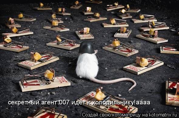 Котоматрица: секретный агент 007 идёт к холодильнику!аааа
