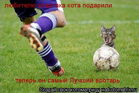 Котоматрица: любителю спартака кота подарили теперь он самый Лучший вротарь
