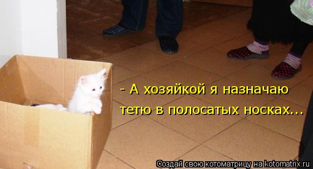 Котоматрица: - А хозяйкой я назначаю тетю в полосатых носках...