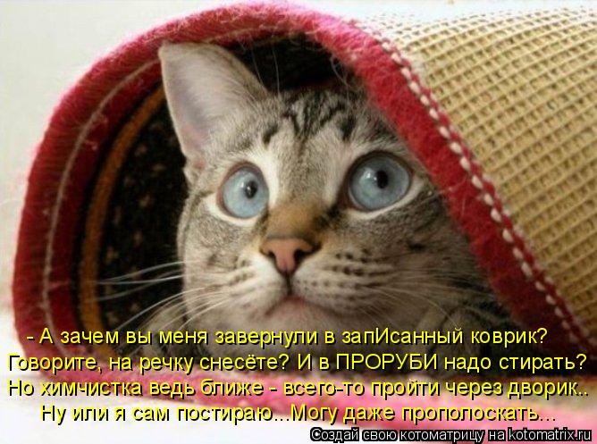 - А зачем вы меня завернули в запИсанный коврик? Говорите, на речку снесёте? И в ПРОРУБИ надо стирать... Котоматрица: - А зачем вы меня завернули в запИсанный коврик? Говорите, на речку снесёте? И в ПРОРУБИ надо стирать? Но химчистка ведь ближе - всего-то пройт