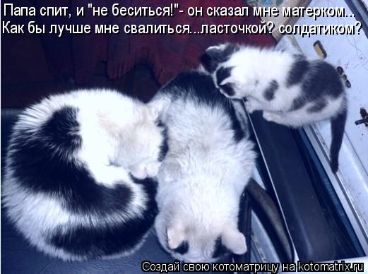 Котоматрица: Папа спит, и "не беситься!"- он сказал мне матерком... Как бы лучше мне свалиться...ласточкой? солдатиком?