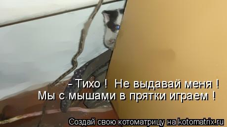 - Тихо ! Не выдавай меня ! Мы с мышами в прятки играем !... Котоматрица: - Тихо ! Не выдавай меня ! Мы с мышами в прятки играем !