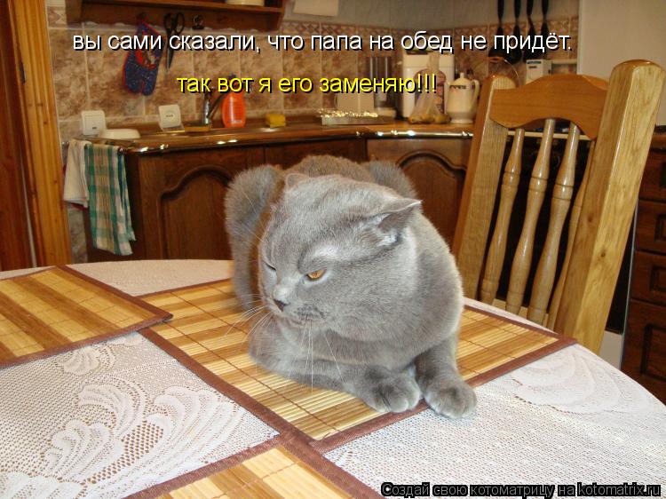 так вот я его заменяю!!! вы сами сказали, что папа на обед не придёт.... Котоматрица: так вот я его заменяю!!! вы сами сказали, что папа на обед не придёт.