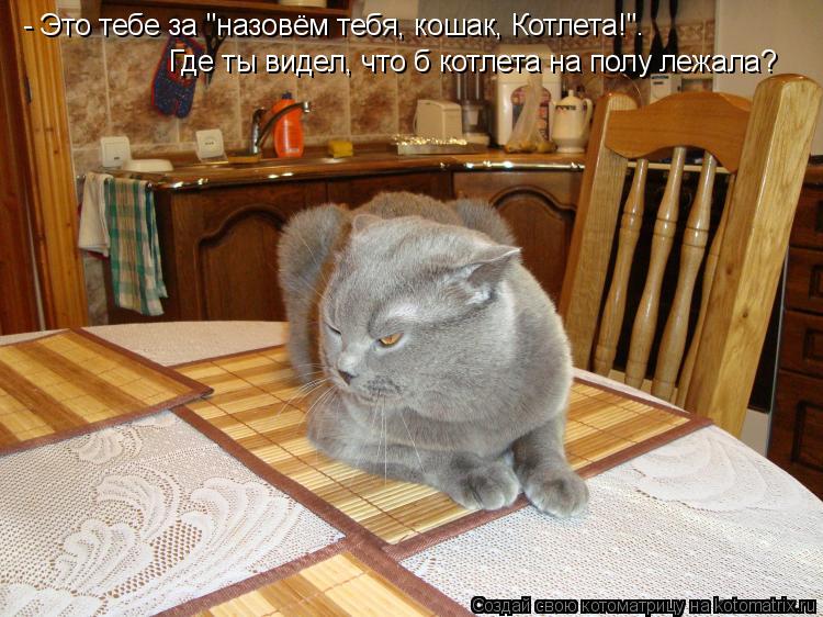 Котоматрица: - Это тебе за "назовём тебя, кошак, Котлета!". Где ты видел, что б котлета на полу лежала?