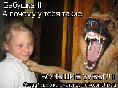 Бабушка!!! А почему у тебя такие БОЛЬШИЕ ЗУБЫ?!!!... Котоматрица: Бабушка!!! А почему у тебя такие БОЛЬШИЕ ЗУБЫ?!!!
