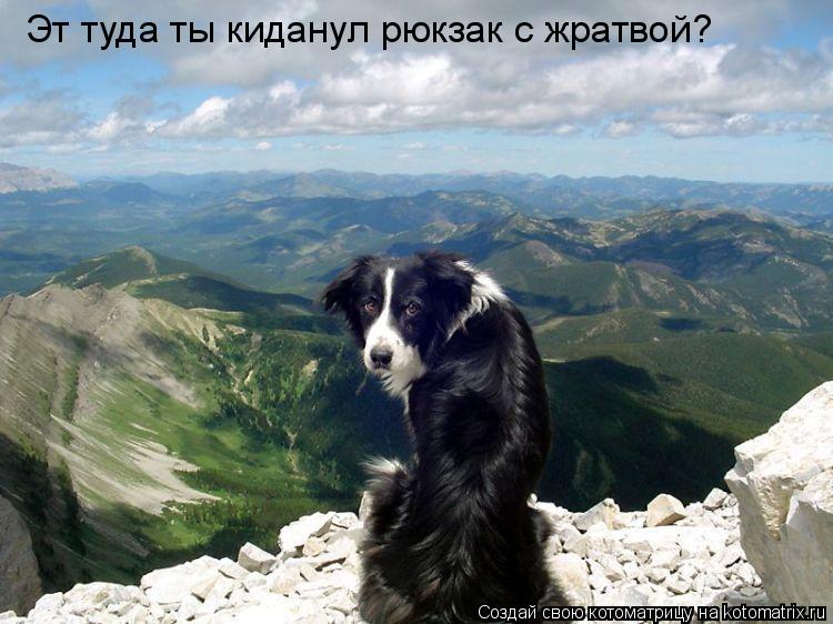 Эт туда ты киданул рюкзак с жратвой?... Котоматрица: Эт туда ты киданул рюкзак с жратвой?