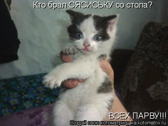 Кто брал СЯСИСЬКУ со стола? ВСЕХ ПАРВУ!!!... Котоматрица: Кто брал СЯСИСЬКУ со стола? ВСЕХ ПАРВУ!!!