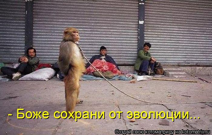 - Боже сохрани от эволюции...... Котоматрица: - Боже сохрани от эволюции...