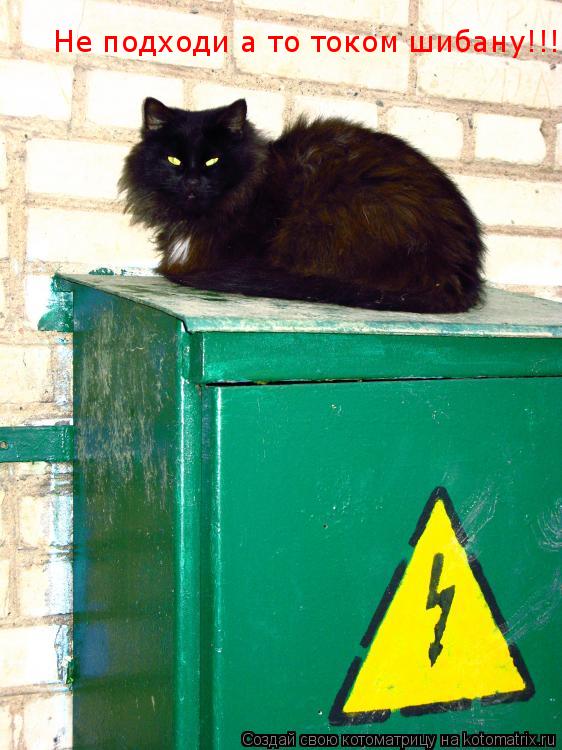 Не подходи а то током шибану!!!... Котоматрица: Не подходи а то током шибану!!!