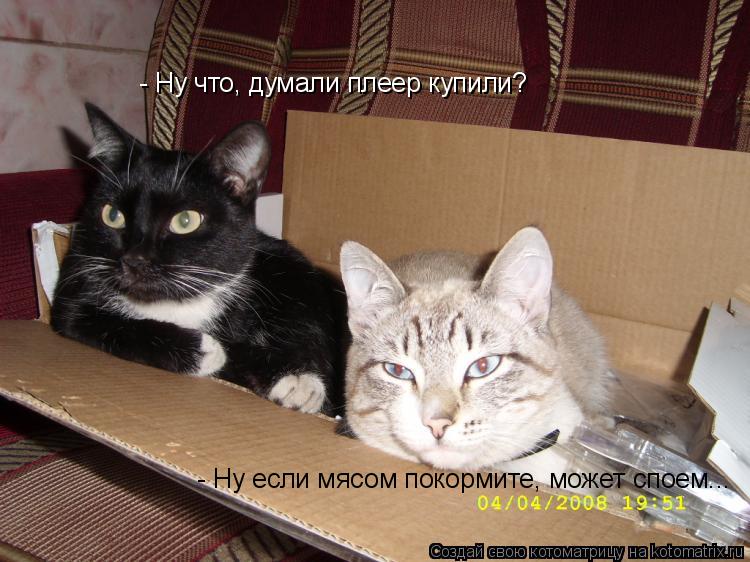 - Ну что, думали плеер купили? - Ну если мясом покормите, может споем...... Котоматрица: - Ну что, думали плеер купили? - Ну если мясом покормите, может споем...