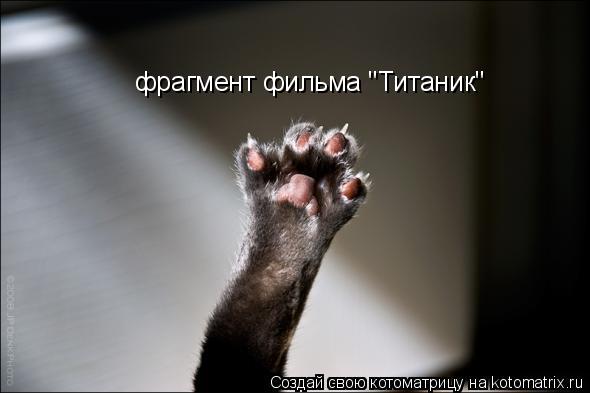 Котоматрица: фрагмент фильма "Титаник"