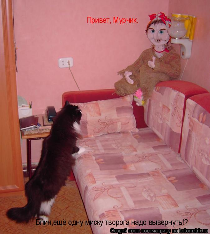 Котоматрица: Блин,ещё одну миску творога надо вывернуть!? Привет, Мурчик.