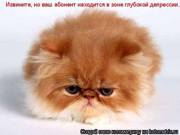 Котоматрица: Извините, но ваш абонент находится в зоне глубокой депрессии...