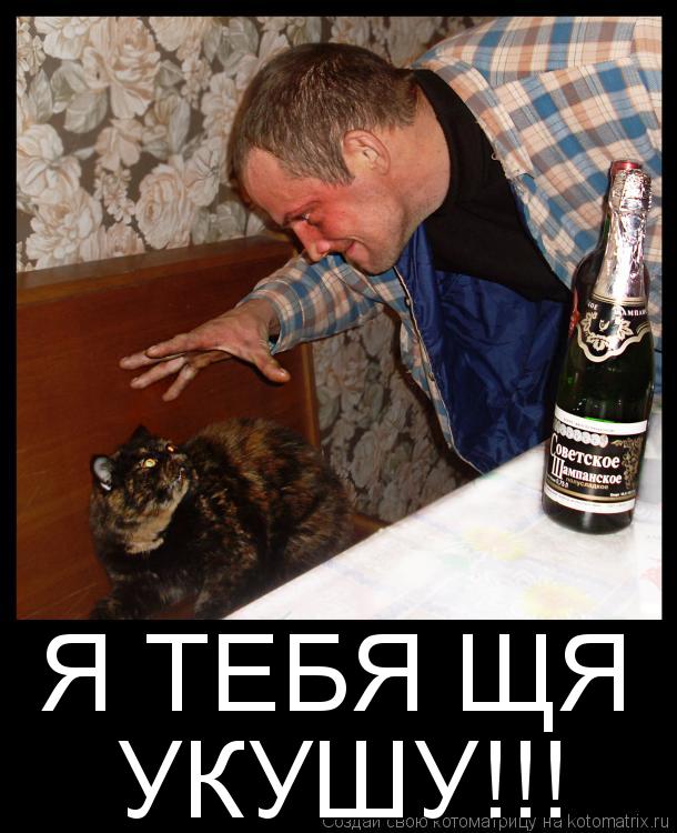 Котоматрица: Я ТЕБЯ ЩЯ  УКУШУ!!!
