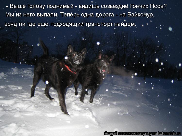 Котоматрица: - Выше голову поднимай - видишь созвездие Гончих Псов?  Мы из него выпали. Теперь одна дорога - на Байконур,  вряд ли где еще подходящий трансп