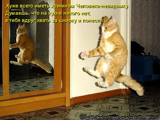 Хуже всего иметь хозяином Человека-невидимку. Думаешь, что на кухне никого нет, а тебя вдруг хвать з... Котоматрица: Хуже всего иметь хозяином Человека-невидимку. Думаешь, что на кухне никого нет, а тебя вдруг хвать за шкирку и понесли...