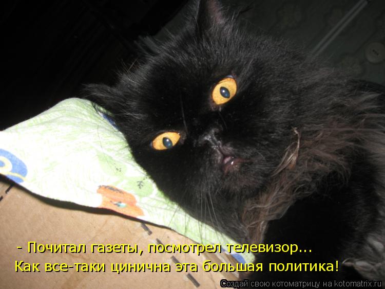 - Почитал газеты, посмотрел телевизор... Как все-таки цинична эта большая политика!... Котоматрица: - Почитал газеты, посмотрел телевизор... Как все-таки цинична эта большая политика!