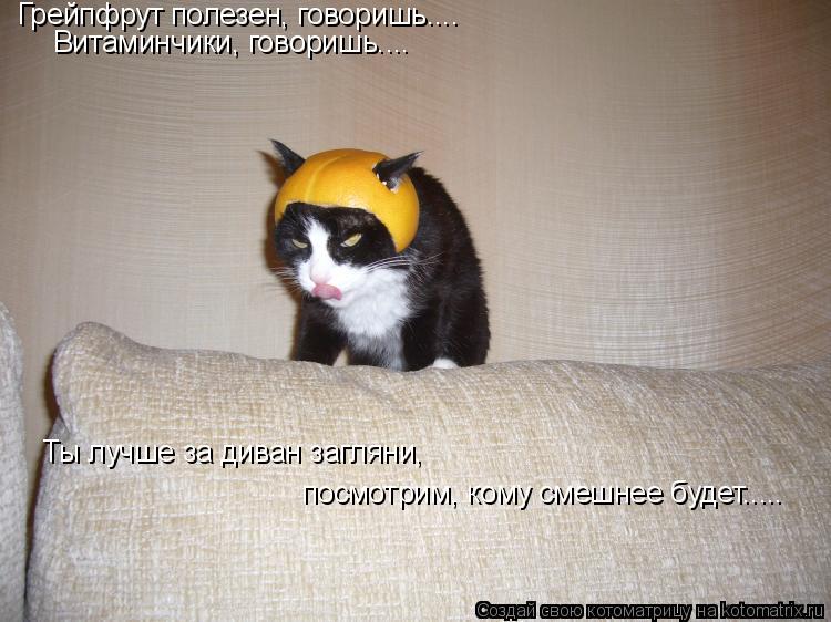 Котоматрица: Грейпфрут полезен, говоришь.... Витаминчики, говоришь.... Ты лучше за диван загляни,  посмотрим, кому смешнее будет.....