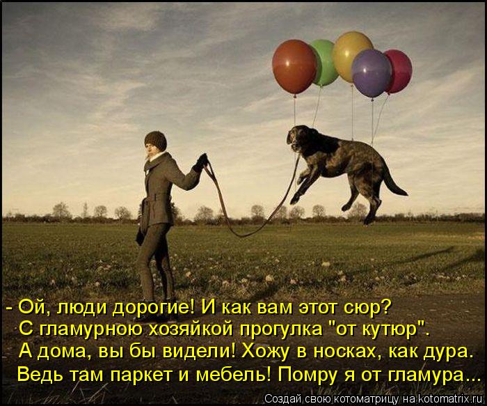 Котоматрица: А дома, вы бы видели! Хожу в носках, как дура. С гламурною хозяйкой прогулка "от кутюр". - Ой, люди дорогие! И как вам этот сюр? Ведь там паркет и 