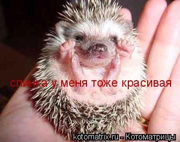 Котоматрица: спинка у меня тоже красивая