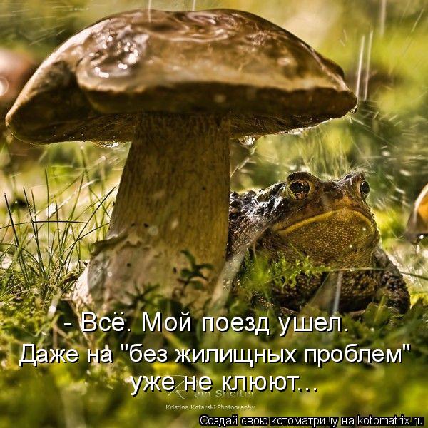 Котоматрица: - Все. Мой поезд ушел. уже не клюют... Даже на "без жилищных проблем" ..